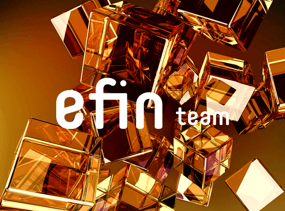EFIN_TEAM
